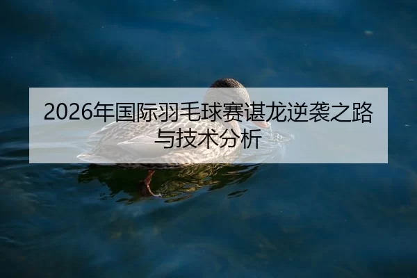 2026年国际羽毛球赛谌龙逆袭之路与技术分析