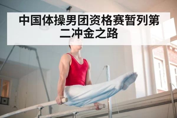 gymnastics parallel bars
