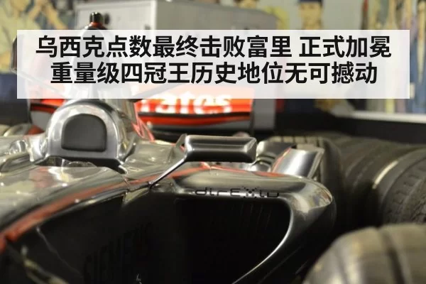 乌西克点数最终击败富里 正式加冕重量级四冠王历史地位无可撼动