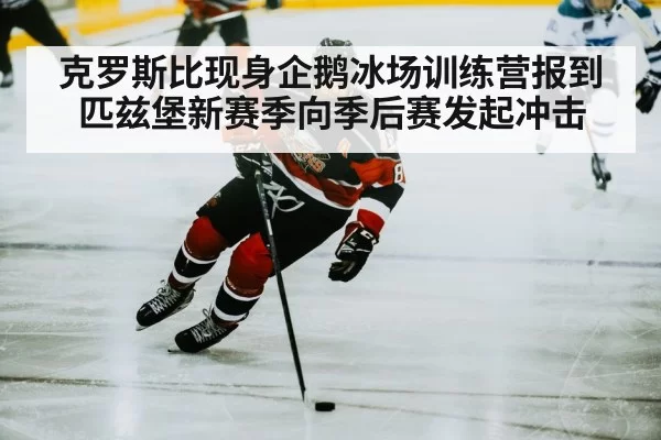 ice hockey player skating rink